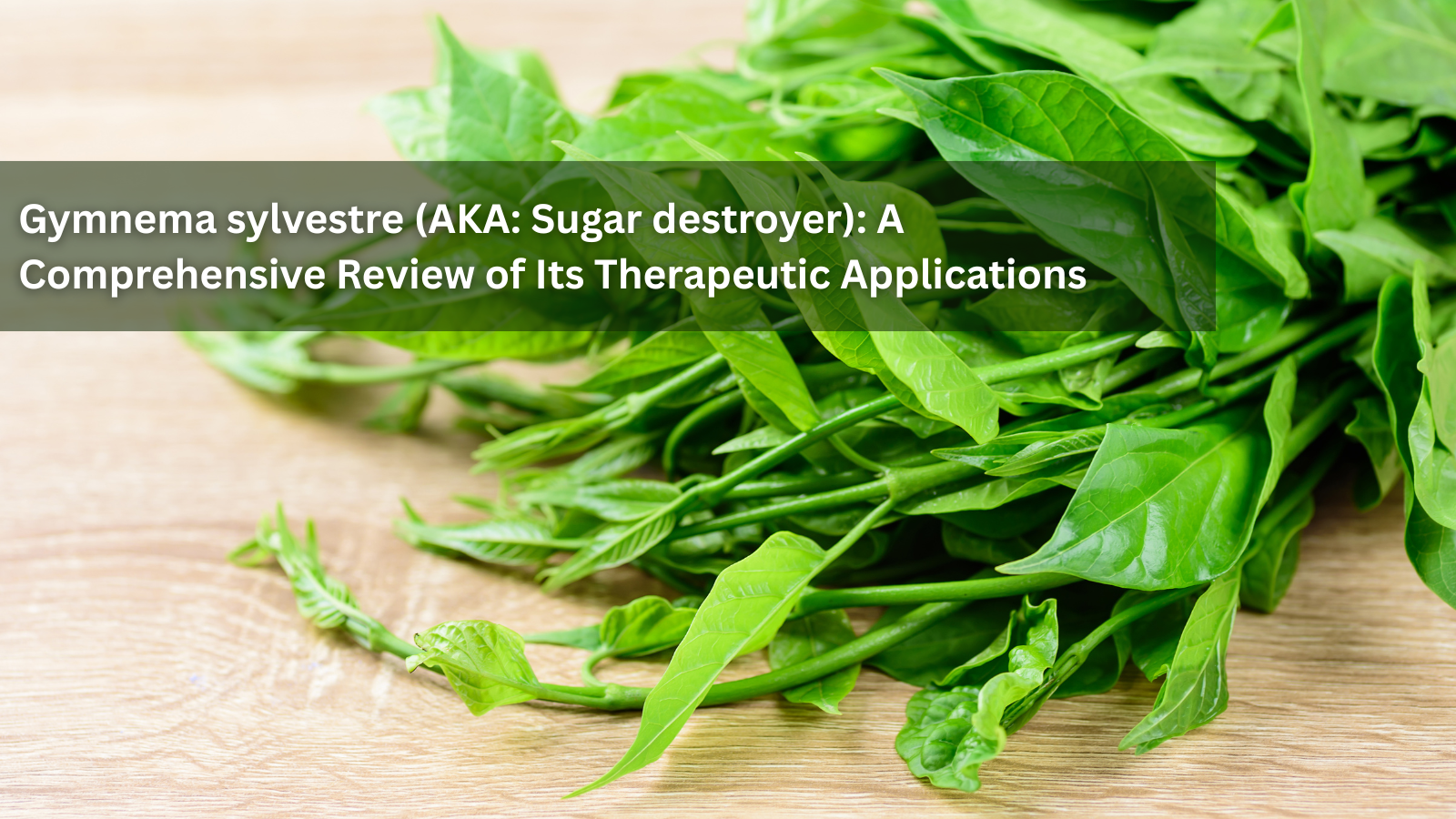 What is the Sugar-Stopper Herb Gymnema sylvestre? A Comprehensive Review of Its Phytochemicals and Therapeutic Applications