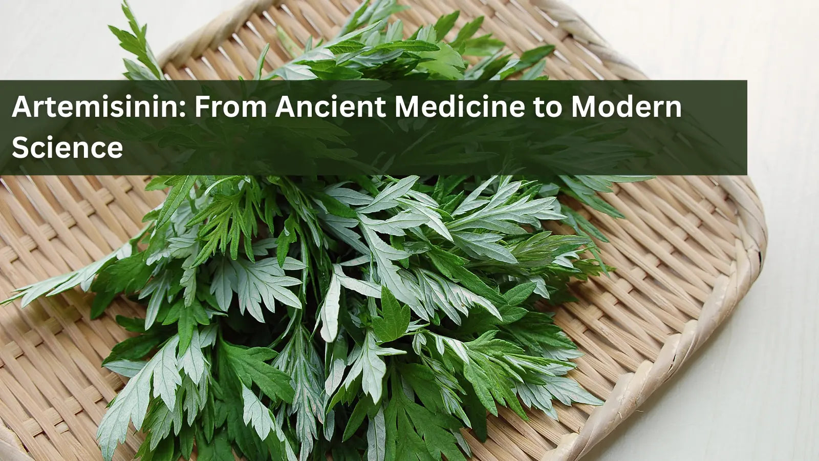Artemisinin-From-Ancient-Medicine-to-Modern-Science Dr. Clark Store