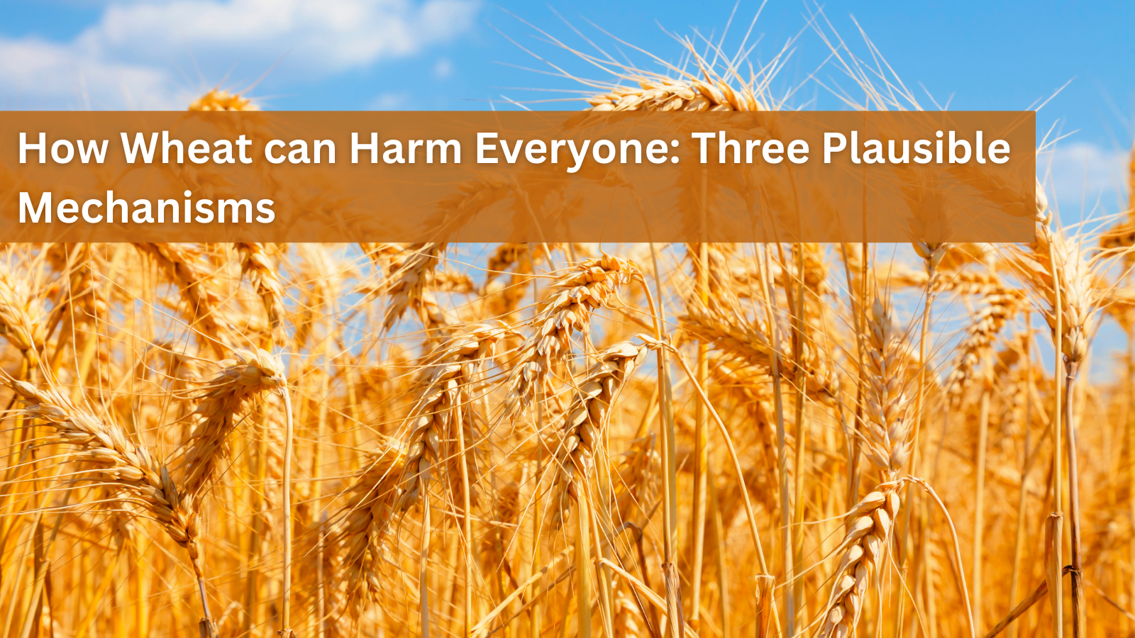 How-Wheat-can-Harm-Everyone-Three-Plausible-Mechanisms Dr. Clark Store