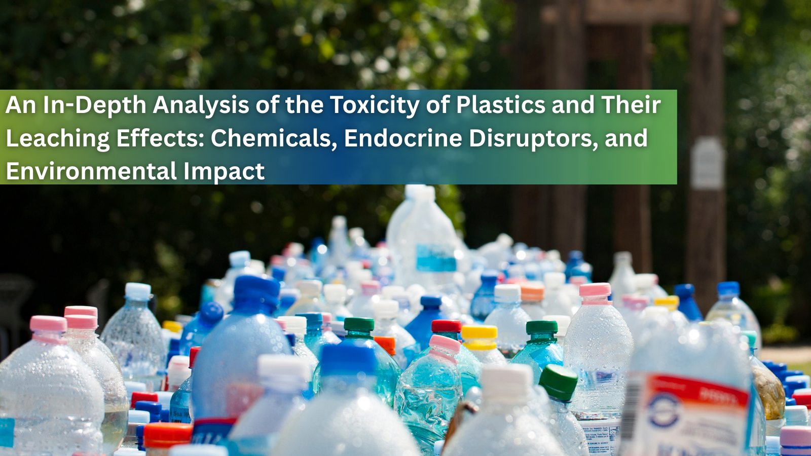 An In-Depth Analysis of the Toxicity of Plastics and Their Leaching Effects: Chemicals, Endocrine Disruptors, and Environmental Impact