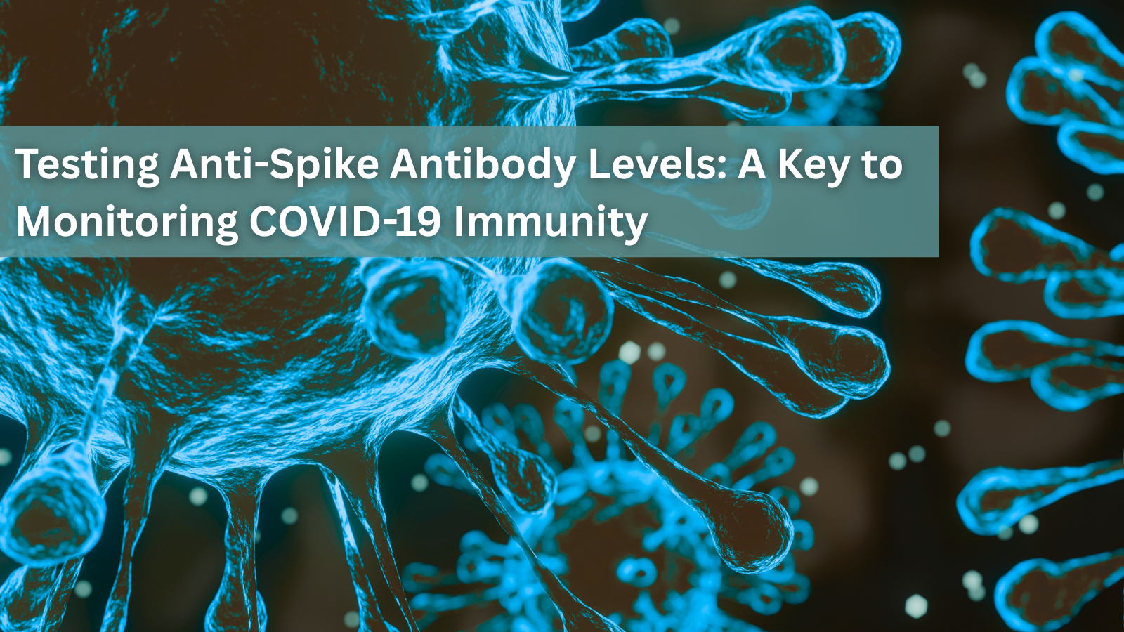 Testing Anti-Spike Antibody Levels: A Key to Monitoring COVID-19 Immunity