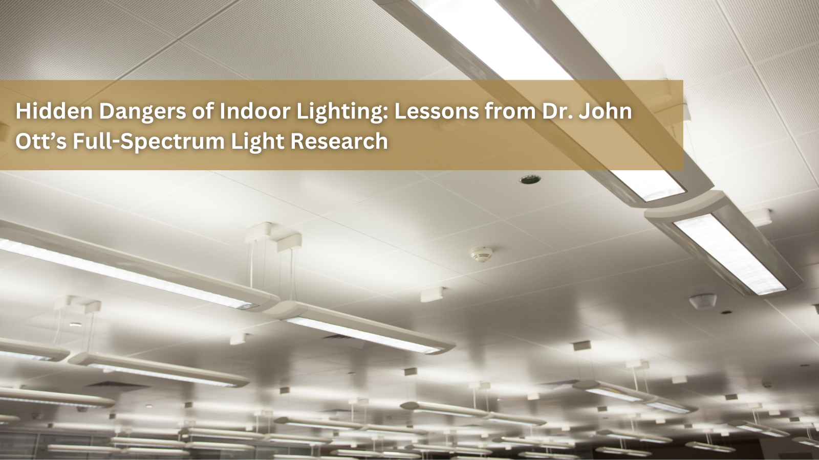 Health Risks of Indoor Lighting: Lessons from Dr. John Ott’s Full-Spectrum Light Research