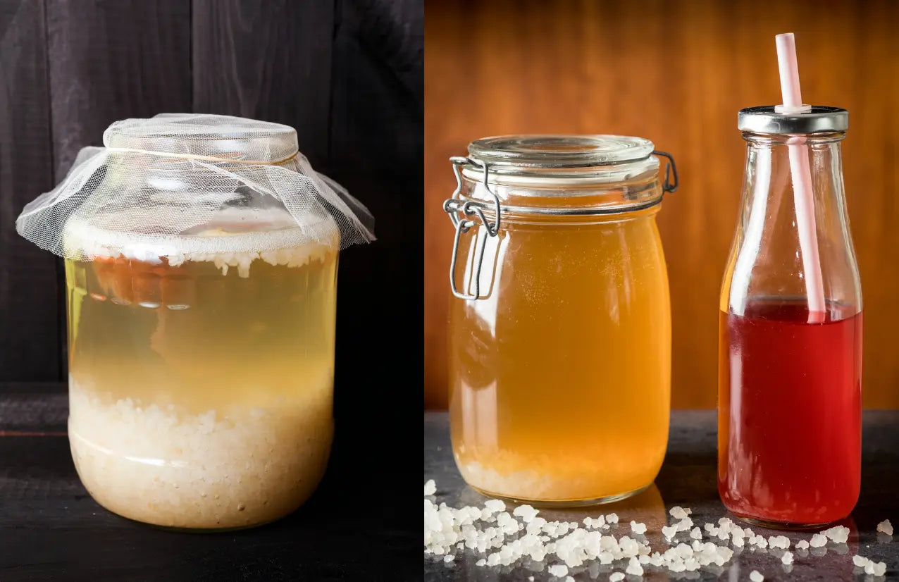 Water Kefir: A Dairy-Free Probiotic Powerhouse - Dr. Clark Store