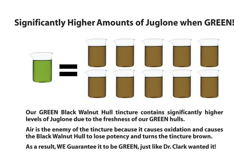 Comparison of Black Walnut Hull Tincture – Dr. Clark Store’s green tincture is 10 times more potent than brown or black tinctures