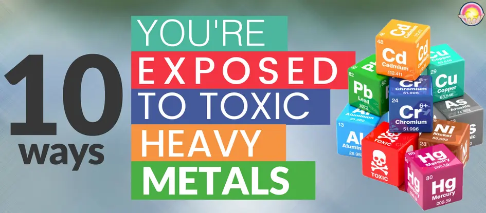 10 Ways You’re Being Exposed to Toxic Heavy Metals Dr. Clark Store