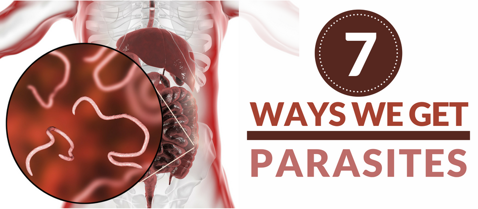 7 Ways We Get Parasites – Dr. Clark Store