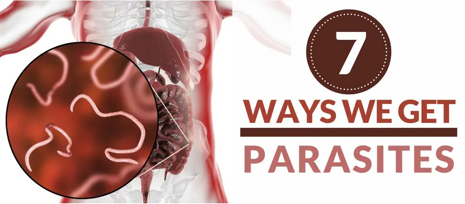 7 Ways We Get Parasites Dr. Clark Store