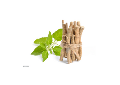 Ashwagandha (Winthania somnifera) Root Extract: An Adaptogen Living up to the Hype