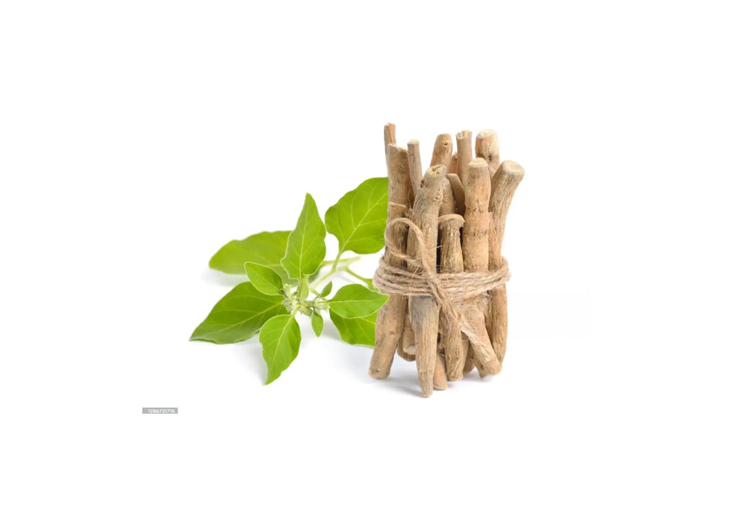 Ashwagandha-Winthania-somnifera-Root-Extract-An-Adaptogen-Living-up-to-the-Hype Dr. Clark Store