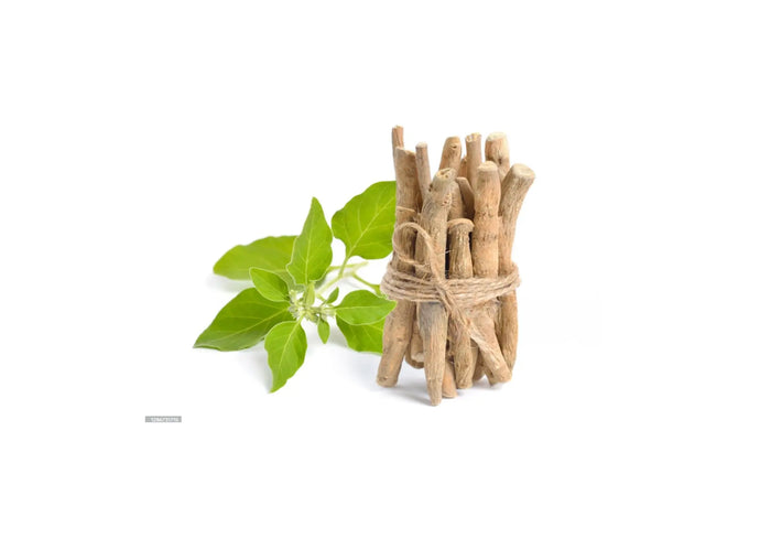 Ashwagandha (Winthania somnifera) Root Extract: An Adaptogen Living up to the Hype