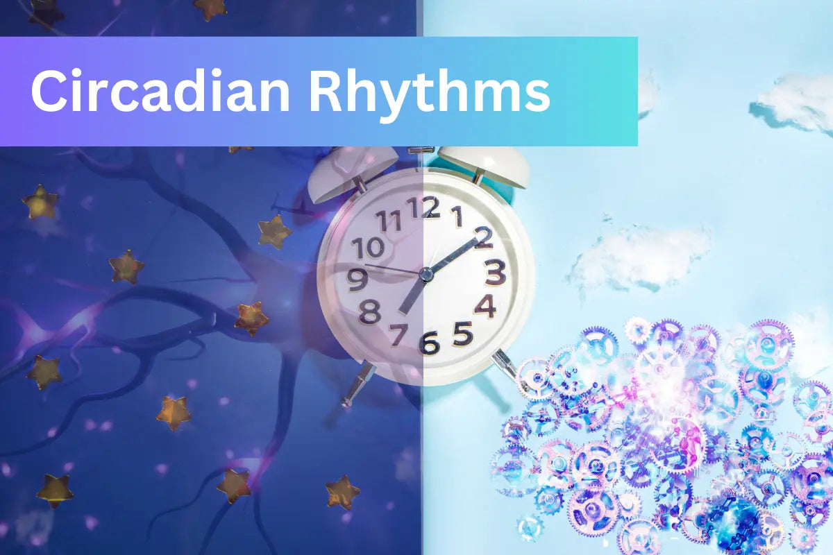 Circadian-Rhythms-and-Thyroid-Health-A-Key-to-Healing-Metabolism-and-Overcoming-Fatigue Dr. Clark Store