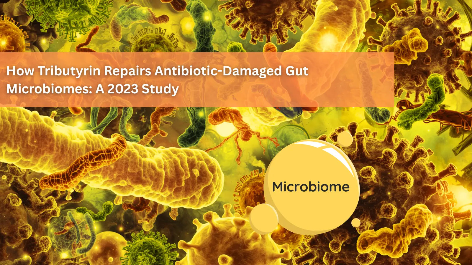 An orange and yellow microscopic illustration of various bacteria and virus-like structures.