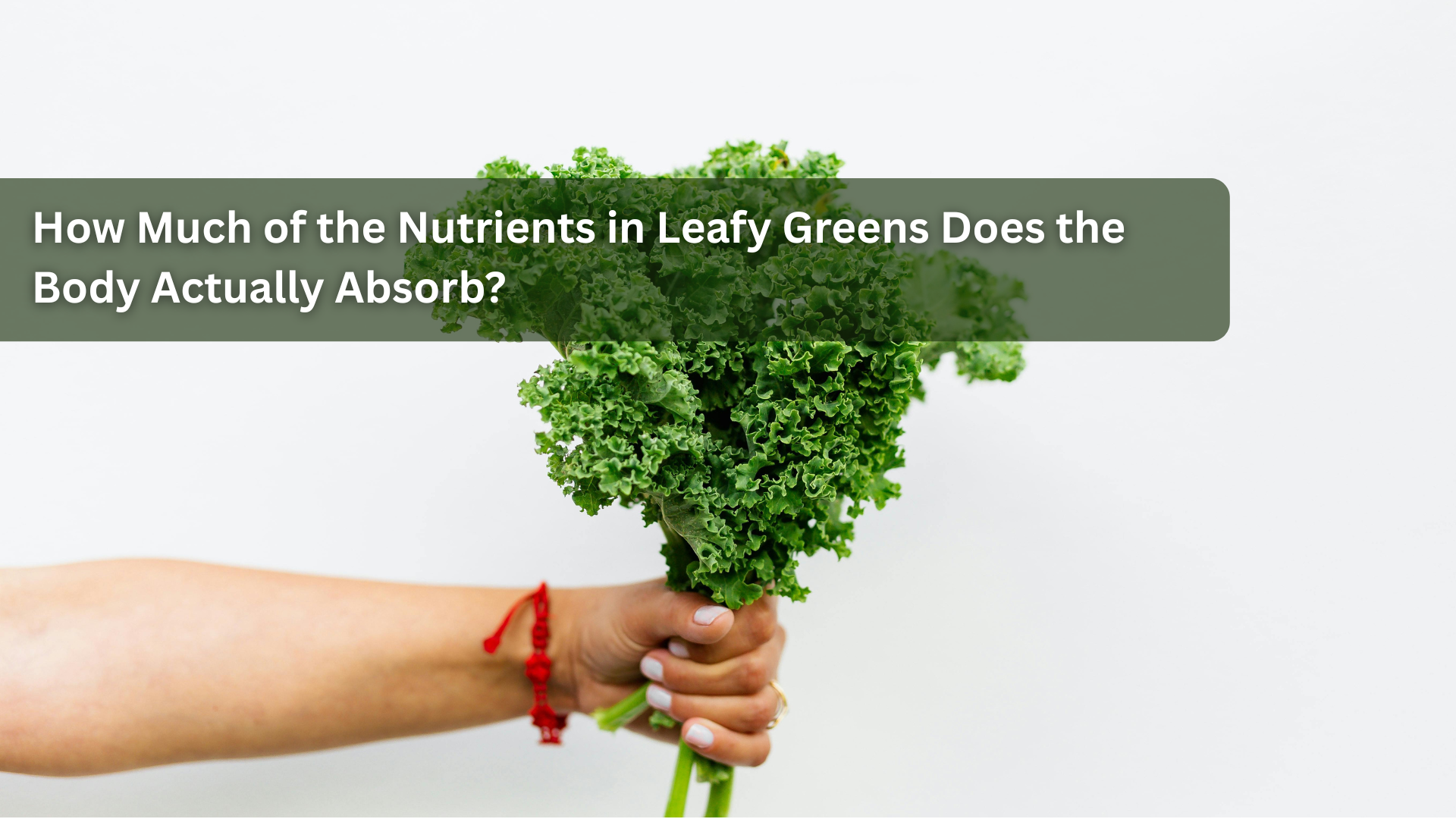 How Much of the Nutrients in Leafy Greens Does the Body Actually Absorb?