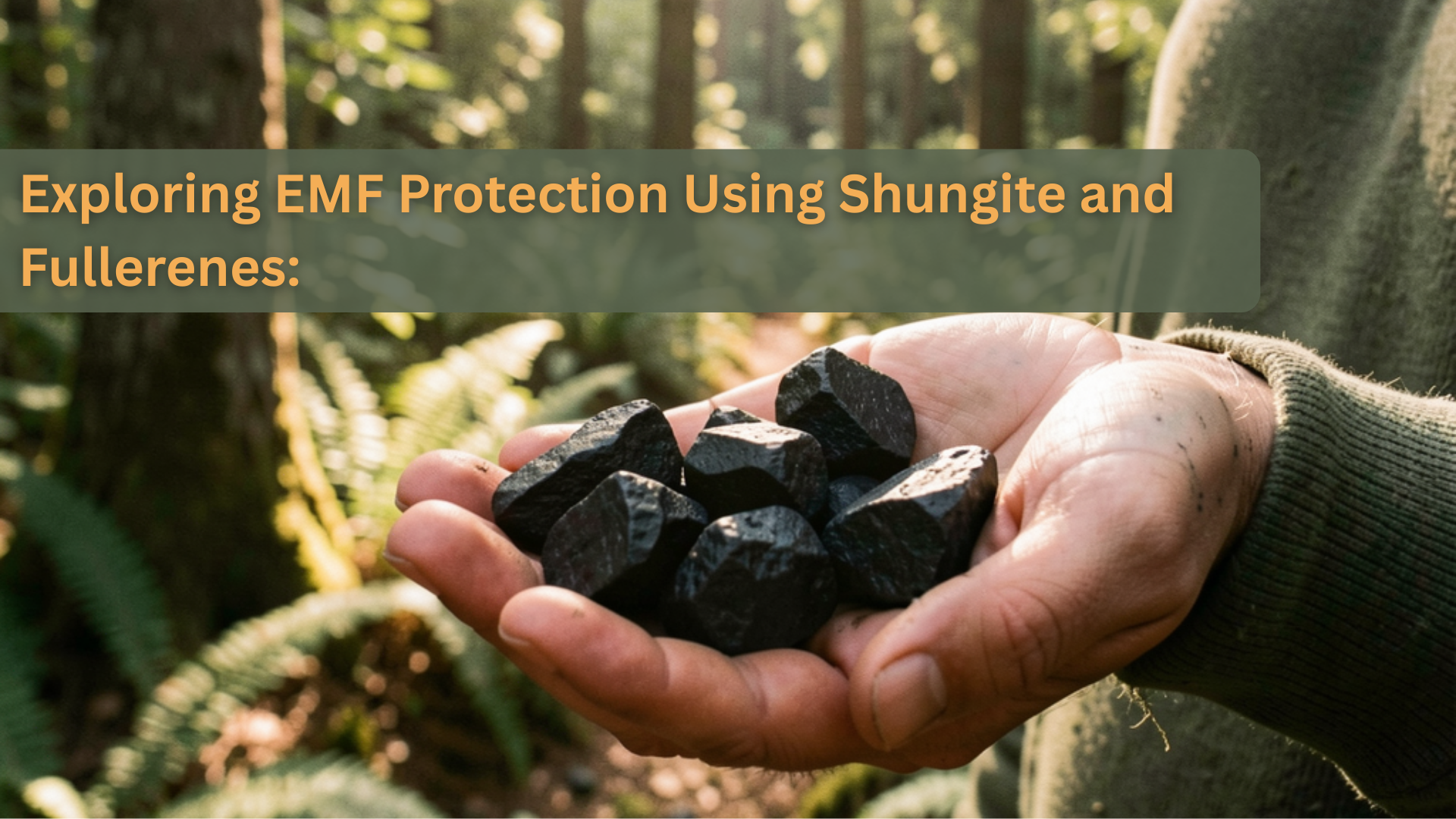 Exploring EMF Protection: Shungite and Fullerenes
