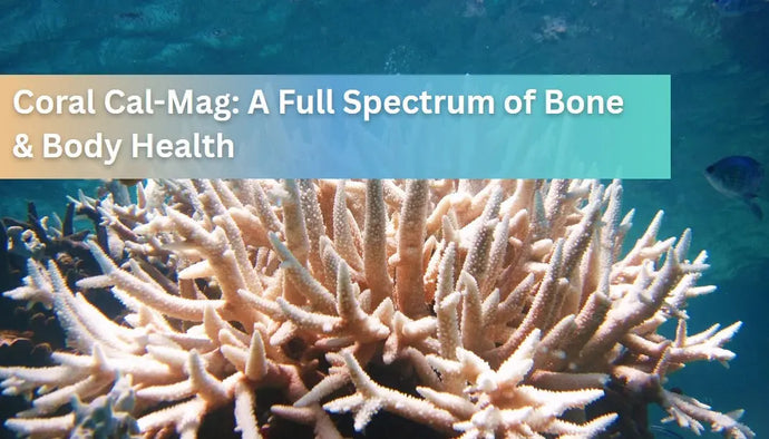 Coral Cal-Mag: A Full Spectrum of Bone & Body Health