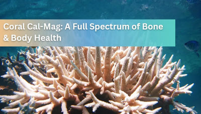 Coral Cal-Mag: A Full Spectrum of Bone & Body Health