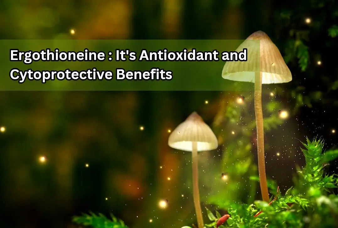 Ergothioneine-The-Antioxidant-and-Cytoprotective-Benefits Dr. Clark Store