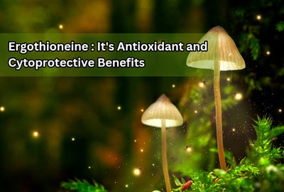 Ergothioneine : The Antioxidant and Cytoprotective Benefits