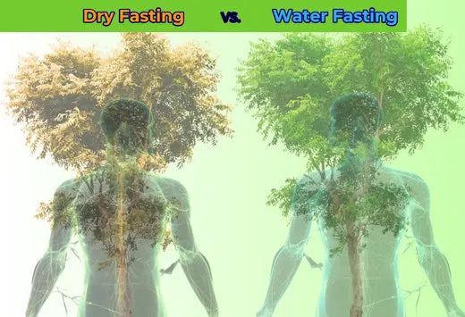 Dry-Fasting-vs.-Water-Fasting-Risks-Benefits Dr. Clark Store