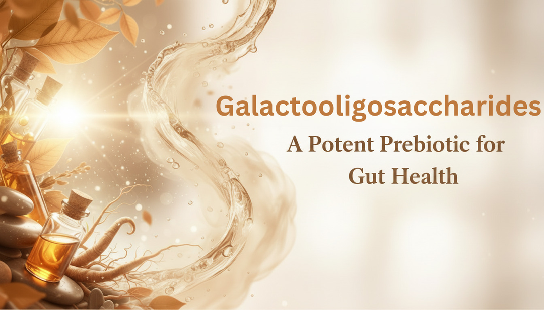 Galactooligosaccharides: A Potent Prebiotic for Gut Health