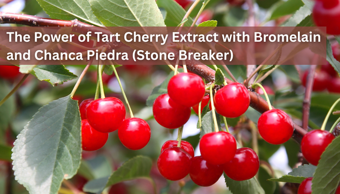 What are the Benefits of Tart Cherry Extract with Bromelain and Chanca Piedra (Stone Breaker)?