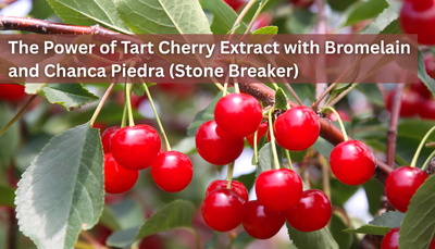 What are the Benefits of Tart Cherry Extract with Bromelain and Chanca Piedra (Stone Breaker)?