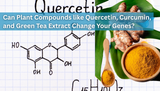 Can Plant Compounds like Quercetin, Curcumin, and Green Tea Extract in Your Diet Change Your Genes?