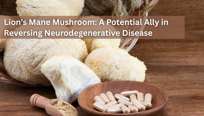 Lion’s Mane Mushroom: A Potential Ally in Reversing Neurodegenerative Disease and Iatrogenic Brain Damage
