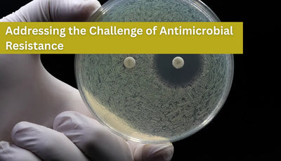 Addressing the Challenge of Antimicrobial Resistance (AMR)