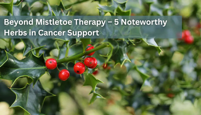 Beyond Mistletoe Therapy – 5 Noteworthy Herbs in Cancer Support
