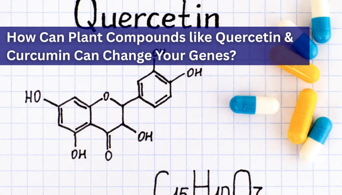 Can Plant Compounds like Quercetin, Curcumin, and Green Tea Extract in Your Diet Change Your Genes?