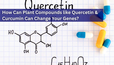 Can Plant Compounds like Quercetin, Curcumin, and Green Tea Extract in Your Diet Change Your Genes?