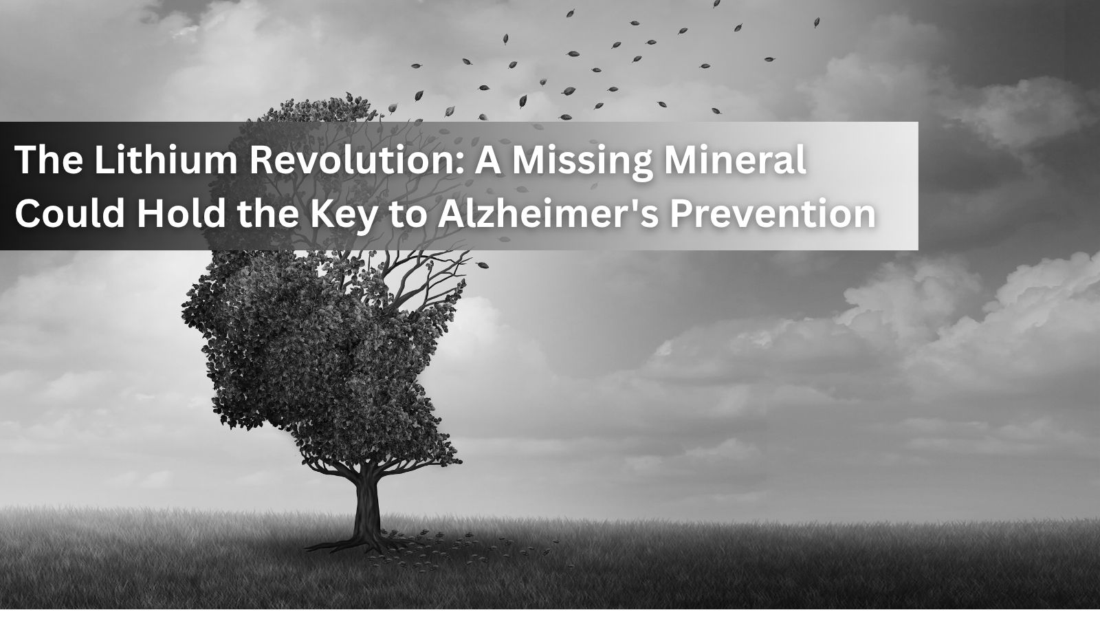 The Lithium Revolution: A Missing Mineral Could Hold the Key to Alzheimer's
