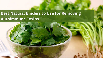 Best Natural Binders to Use for Removing Autoimmune Toxins