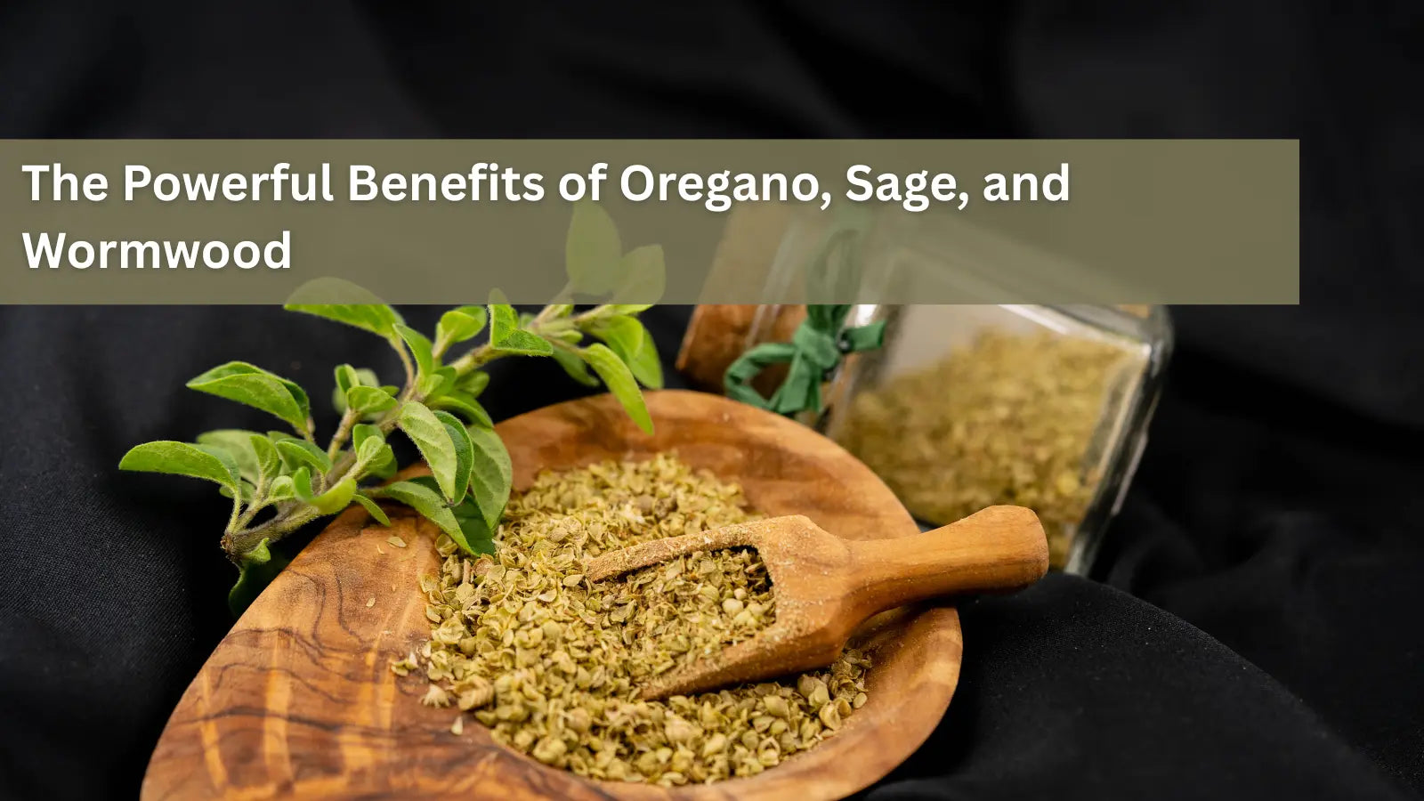This image shows three powerful herbs—oregano, sage, and wormwood—which are often used together in herbal medicine for their potent antimicrobial and anti-inflammatory properties.