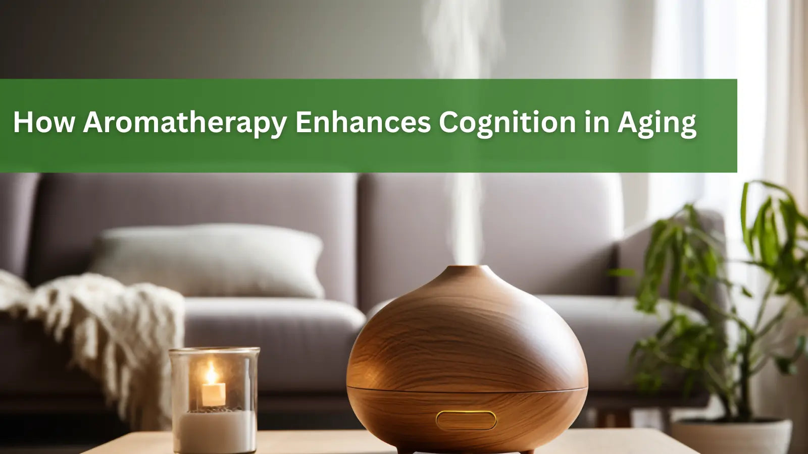 How-Aromatherapy-Enhances-Cognition-in-Aging Dr. Clark Store