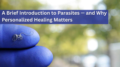 A Brief Introduction to Parasites — and Why Personalized Healing Matters