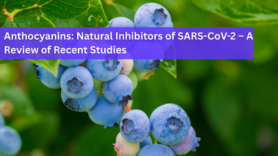 Anthocyanins: Natural Inhibitors of SARS-CoV-2 – A Review of Recent Studies