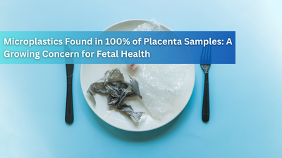 Microplastics Found in 100% of Placenta Samples: A Growing Concern for Fetal Health