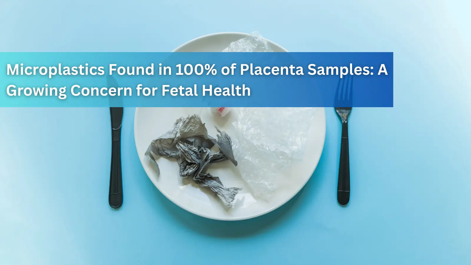 A white plate holding crumpled plastic trash instead of food, highlighting the discovery of microplastics in 100% of placenta samples and the resulting concerns for fetal health.