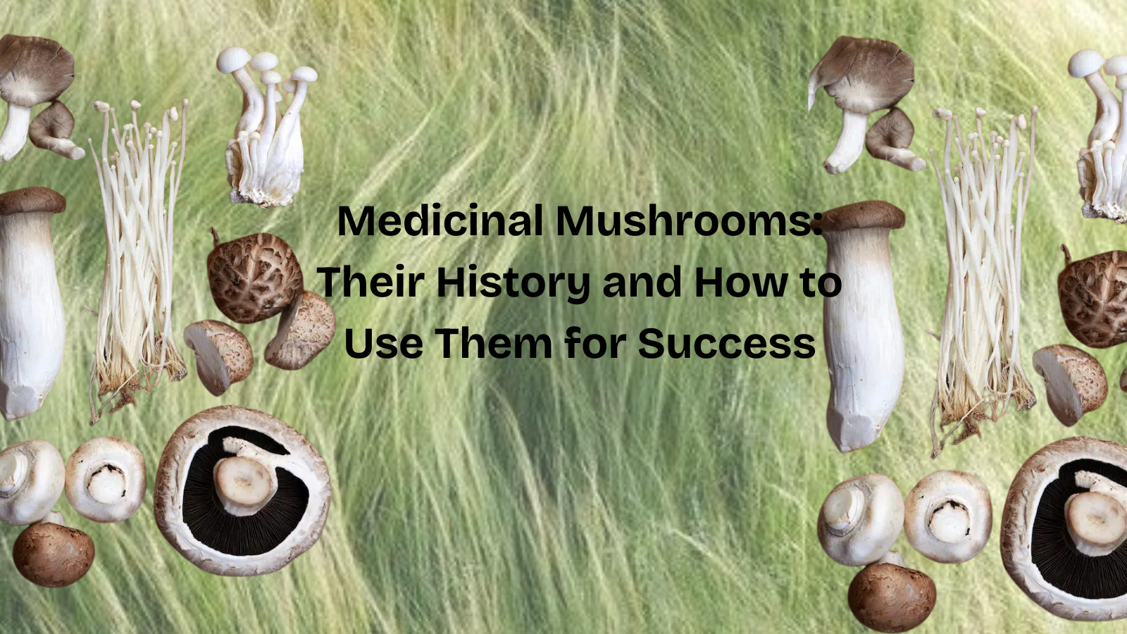 Medicinal Mushrooms: Their History and How to Use Them for Success