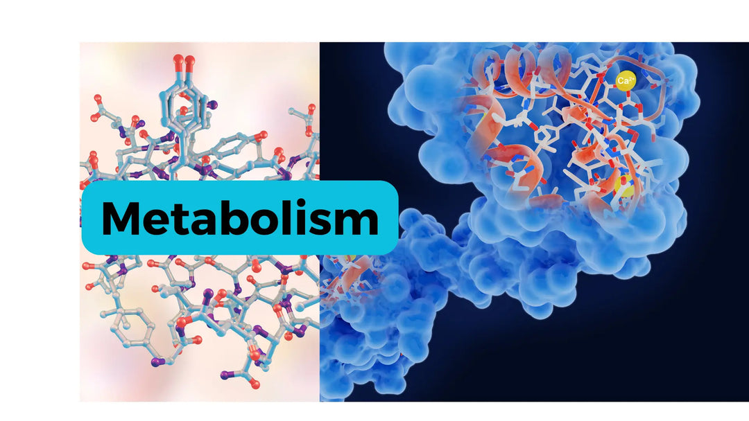 How-Metabolic-Dysfunction-is-Implicated-in-Cancer-Liver-and-Neurodegenerative-Disease Dr. Clark Store
