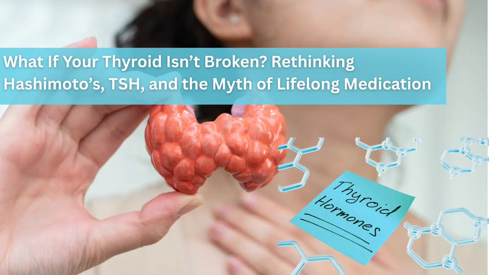 This image shows a person holding a model of a thyroid gland with digital molecular structures and a note that says "Thyroid Hormones."