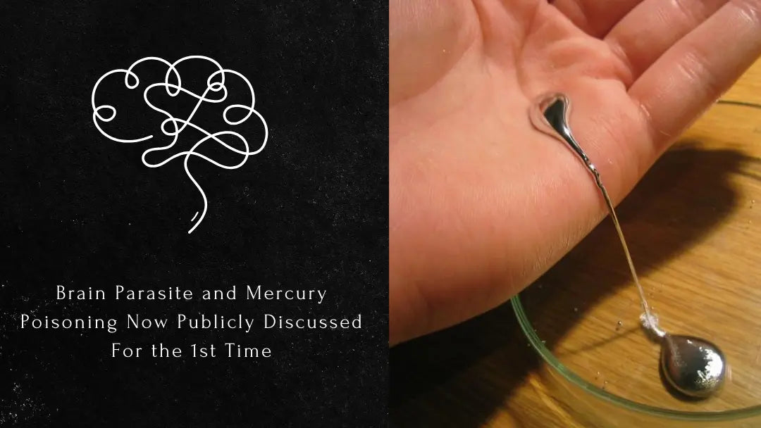 Navigating the Risks: Preventing Brain-Eating Worms and Mercury Poisoning Dr. Clark Store