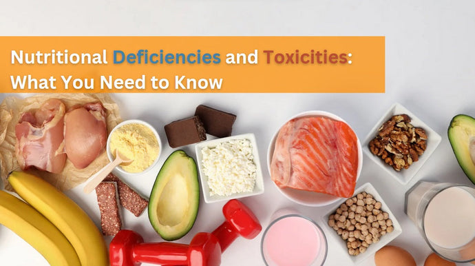 Nutritional Deficiencies and Toxicities: What You Need to Know