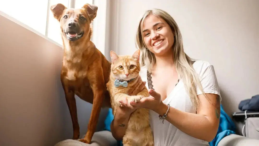 7 Parasites You Get From Your Pets Dr. Clark Store
