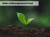 Bioengineered Food Ingredients: