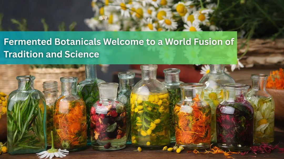 Various clear glass jars filled with colorful flowers and herbs in liquid, introducing fermented botanicals as a fusion of tradition and science.