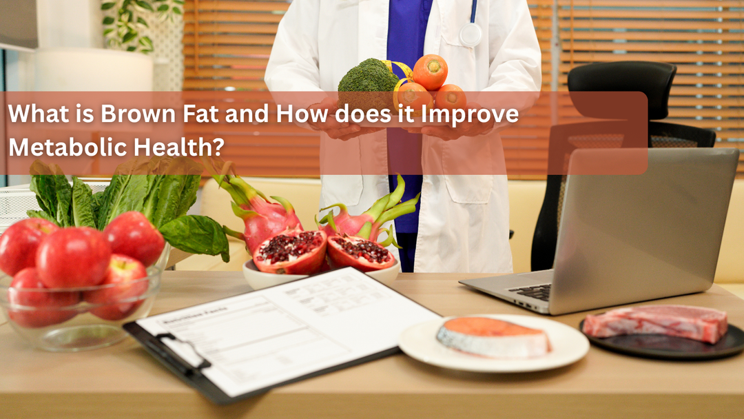What is Brown Fat and How does it Improve Metabolic Health?