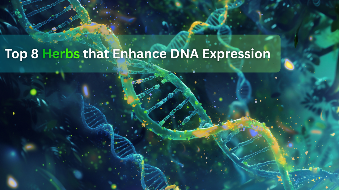 Top 8 Herbs that Enhance DNA Expression